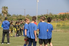 IMG_3252